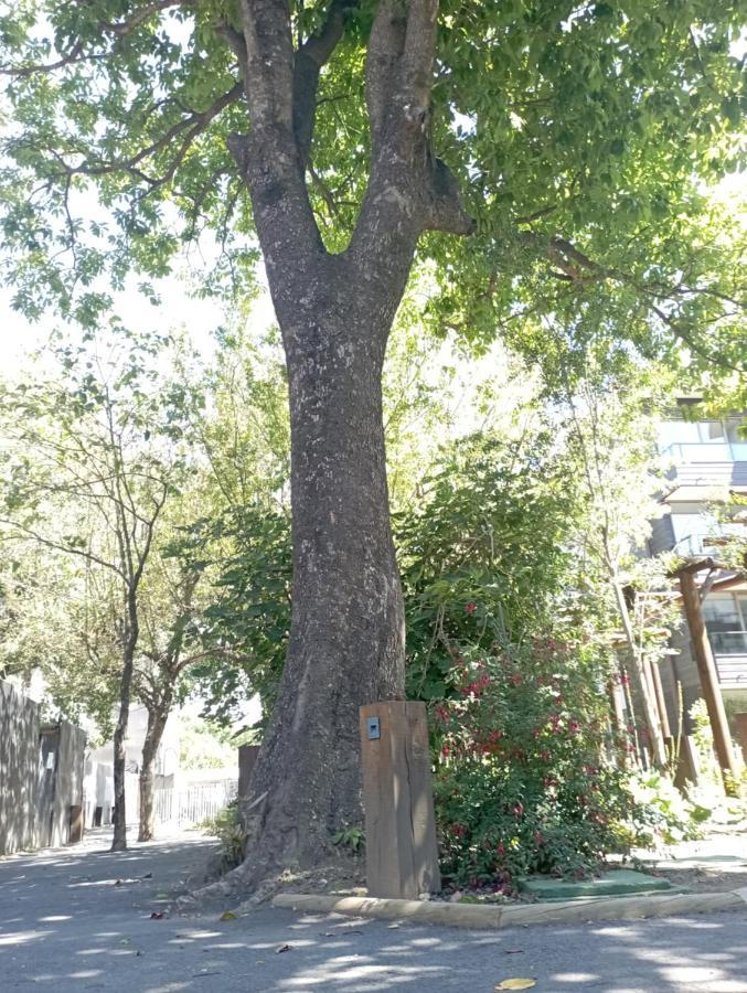 Apartamento Loogar Centro *